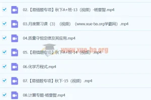 2024初三中考化学杨雯智A+秋季班（下）