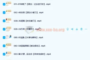 英语名师Frank《新概念英语》第二册96讲完整带讲义