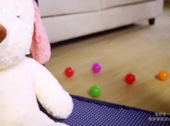 崔璀：高效自我管理实战课，实现职场与生活双赢