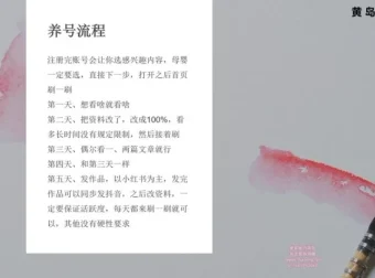 小红书宝宝起名副业实战课程：一键操作与专业软件助力