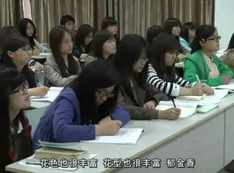 花艺插花教程：从入门到精通