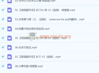 2024初三中考化学杨雯智A+秋季班（下）