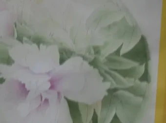 龚雪青工笔牡丹《牡丹小晴》3讲课程全集
