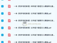 一本小学同步培优新卷（人教版下册）