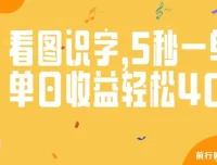 验证码录入与看图识字项目：轻松操作，收益可观