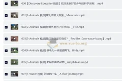 Discovery双语科学启蒙课：探索好奇少年的双语科学世界