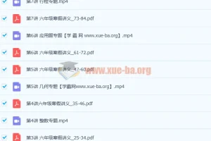 刘庆涛小学六年级数学寒假班课程