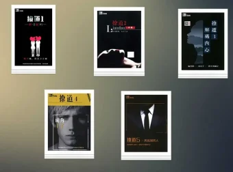 绝版恋爱宝典：《撩道》1 – 5系列书籍