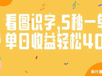 验证码录入与看图识字项目：轻松操作，收益可观
