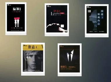 绝版恋爱宝典：《撩道》1 – 5系列书籍