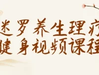 迷罗养生理疗健身视频课程