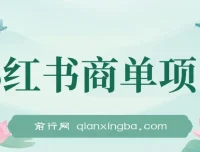 小红书商单项目：2023年最强蓝海项目