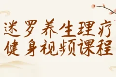 迷罗养生理疗健身视频课程