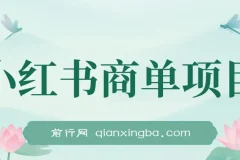 小红书商单项目：2023年最强蓝海项目