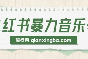 小红书暴力音乐号课程：无脑搞流量，单号月入5000+