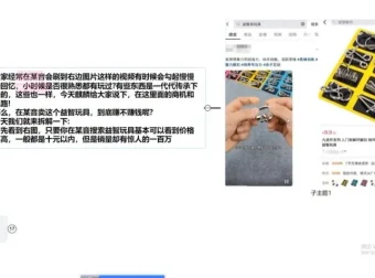 新手必学：益智玩具项目课程助你轻松月入5000+