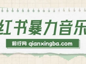 小红书暴力音乐号课程：无脑搞流量，单号月入5000+