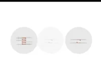 高二生物必修课：陈旭晨精讲基因工程与发酵技术