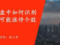 郝立军量化首板实战营：把握行情热点，构建量化策略模型