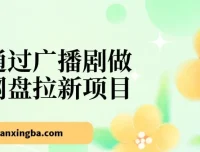 揭秘：通过广播剧做网盘拉新，月入 18000+ 的新玩法