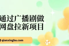 揭秘：通过广播剧做网盘拉新，月入 18000+ 的新玩法