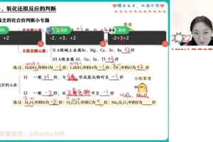 2024高三化学冲刺班：裴一诺助力高效提分