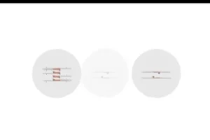 高二生物必修课：陈旭晨精讲基因工程与发酵技术