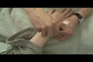 倪海厦中医全集：涵盖天纪、人纪、针灸、黄帝内经等经典中医教程