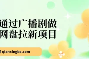 揭秘：通过广播剧做网盘拉新，月入 18000+ 的新玩法