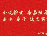 番茄短篇小说推文起号、养号与选文实操指南