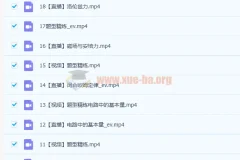 高二物理龚政A+班暑秋联报课程（2023暑假班19讲）