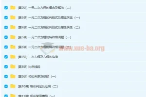 朱韬初二暑假数学竞赛预习领先班课程10讲带讲义