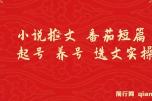 番茄短篇小说推文起号、养号与选文实操指南