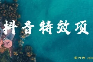 抖音特效师玩法教程：小白也能轻松上手月入过万