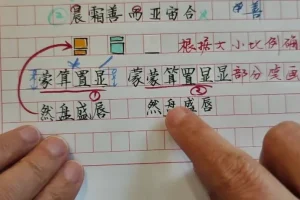 硬笔书法教学师训课：43节笔画结构章法精讲