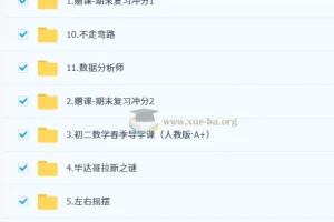 朱韬初二数学数理思维培训班（春上·全国版·S）