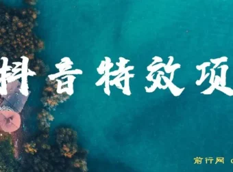 抖音特效师玩法教程：小白也能轻松上手月入过万