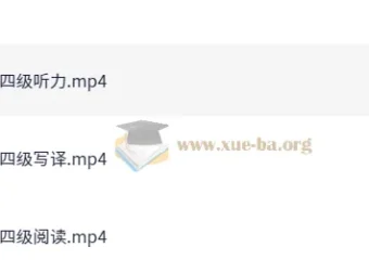 刘晓燕四六级考试急救班（原保命班）