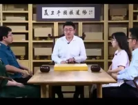 聂卫平樊麾亲授：围棋入门与技巧提升课程