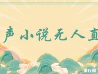 有声小说无人直播项目：保姆式教学，轻松日入500