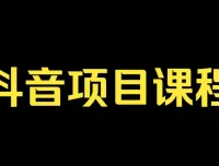 肖掌柜抖音孵化训练课程：教你玩转抖音网络与电商