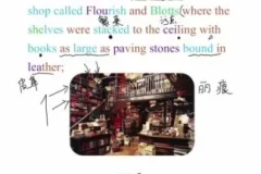 哈利波特精读课：用原著打造沉浸式英语环境，附文化解析