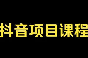 肖掌柜抖音孵化训练课程：教你玩转抖音网络与电商
