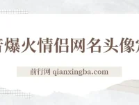 抖音爆火情侣网名头像定制项目，简单易操作，轻松盈利