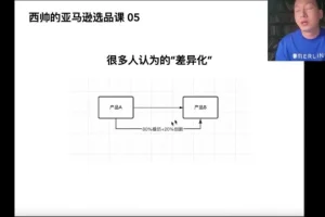 西帅亲授：亚马逊选品实战课，低成本高转化