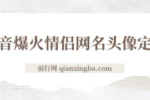 抖音爆火情侣网名头像定制项目，简单易操作，轻松盈利