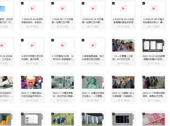 柏林说：世界形势大观 2025 视频合集