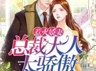 有声小说《惹火娇妻：总裁大人太骄傲》（温暖柔光江小白播讲）