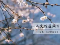 人文花道美学营：领略东方花道之美