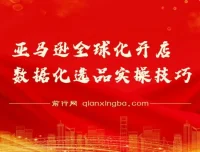 亚马逊全球化开店数据化选品实操技巧课程